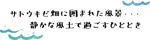 サトウキビ畑に囲まれた風景・・・静かな風土で過ごすひととき