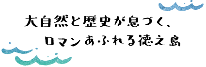 大自然と歴史が息づく、ロマンあふれる徳之島