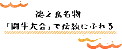徳之島名物「闘牛大会」で伝統にふれる